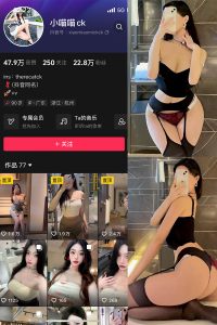 【在线看】抖音 小喵咪ck 微密圈 NO.004期 【73P2V】-浔一演示站